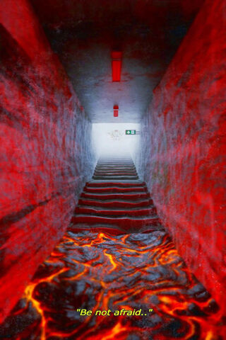 Into the Unknown: A Fie..