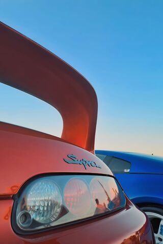 Iconic Duo: The Supra a..