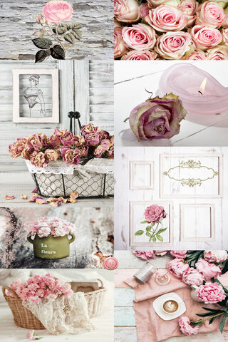 Charming Rose Aesthetics 🌹✨