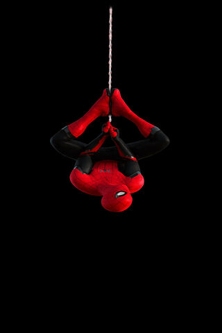 Spider-Man in Action! �..