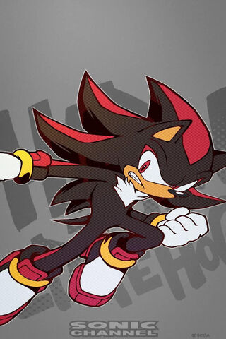 Shadow the Hedgehog in ..