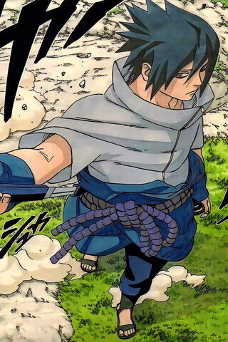 Sasuke: The Lone Avenge..
