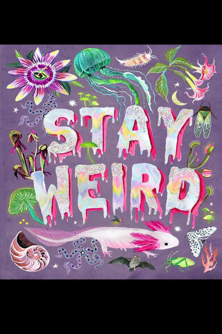 Embrace the Unusual! 🌈✨