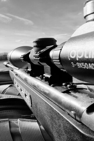 Precision in Focus 🎯
