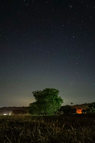 Stars