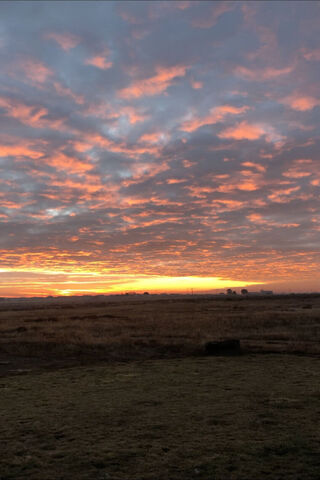 Breathtaking Sunset Over the Fields 🌅✨