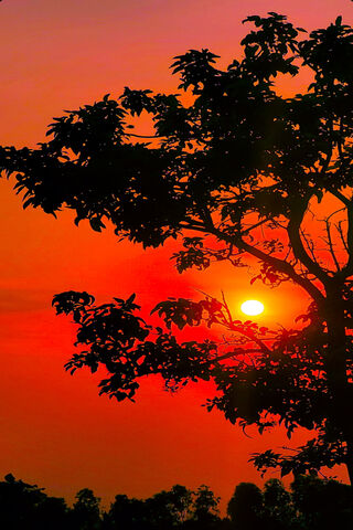 Sunset Serenity 🌅