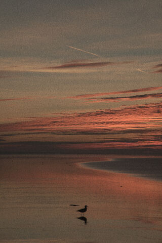 Serene Sunset Reflections 🌅