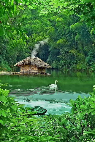 Tranquil Retreat by the..