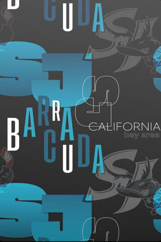 San Jose Barracuda