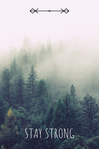 Stay Strong 🌲✨