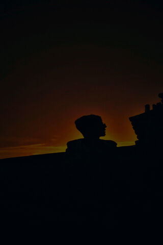 Chasing the Golden Hori..