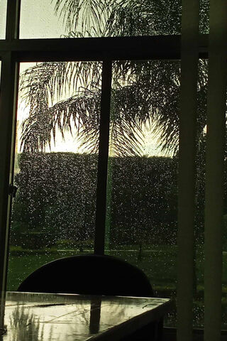 Sunlight