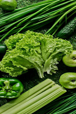 Fresh Green Goodness 🥗🌿