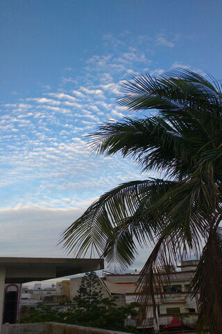 Sky View