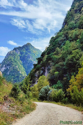 Serene Mountain Path 🌄🌲