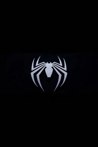 The Web of Heroes 🕷️✨