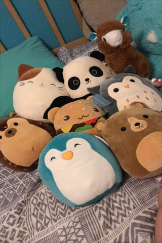 Squishmallow