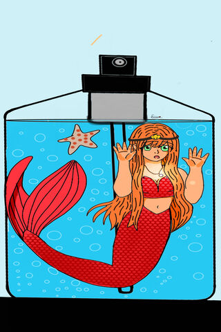 Mermaid in a Bottle 🧜‍..