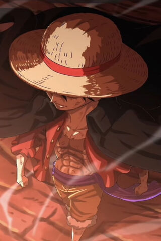 The Determined Pirate