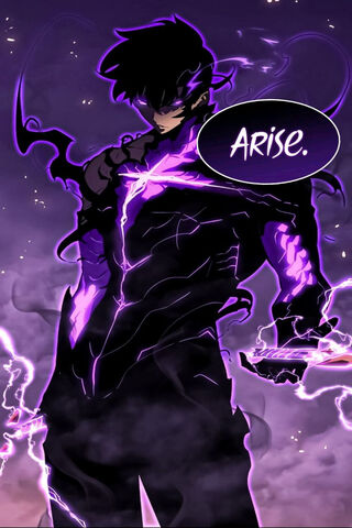Sung Jin Woo ARISE