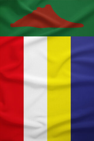 Vibrant Flag of the Republic of the Congo 🇨🇩