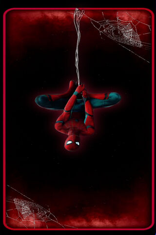 Spider-Man Swinging int..