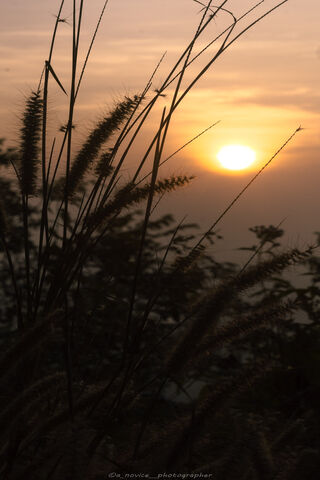 Sunrise For Iphone