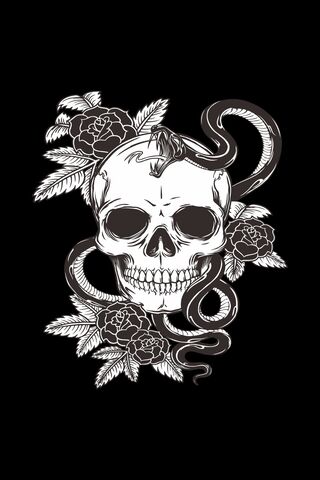 Dark Elegance: Skull an..