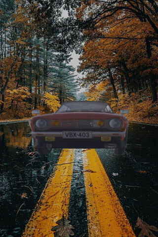 Autumn Drive 🚗🍂