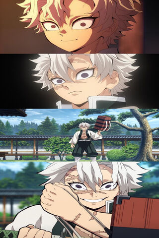 Sanemi Shinazugawa