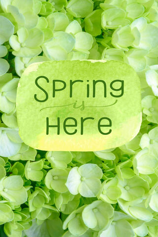 Spring Is Here!