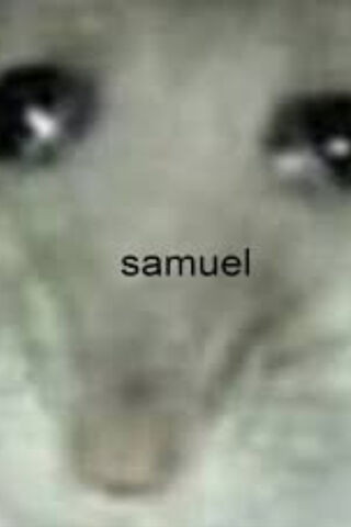 Samuel