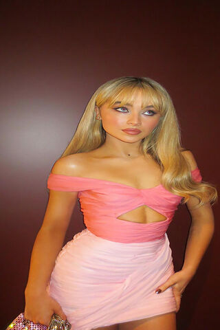 n'Chic Elegance: Sabrina Carpenter's Stunning Look