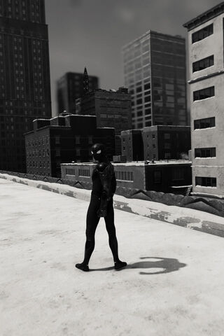 Shadow of the City 🕷️🏙️
