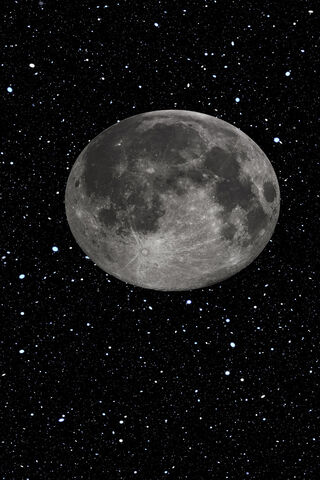 Majestic Moonlit Night ..