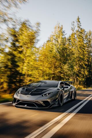 Speeding Through Nature 🌲🏎️