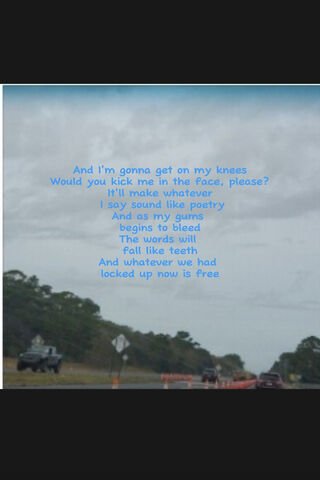 The Front Bottoms Song