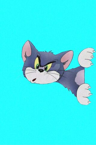 Tom