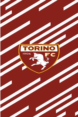 Torino FC Logo on Bold Background ⚽️
