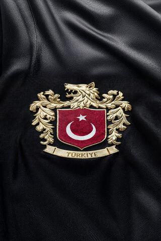 Emblem of Turkey 🇹🇷