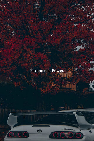 Power in Patience 🚗🍂