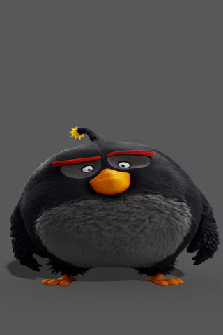 Tom the Tough Bird 🐦💪