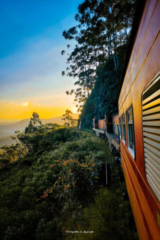 Train Ride