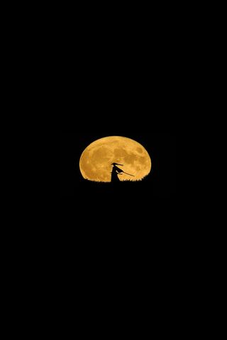 Enchanted Moonlit Night..