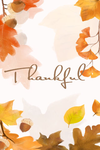 Autumn Gratitude 🍂✨