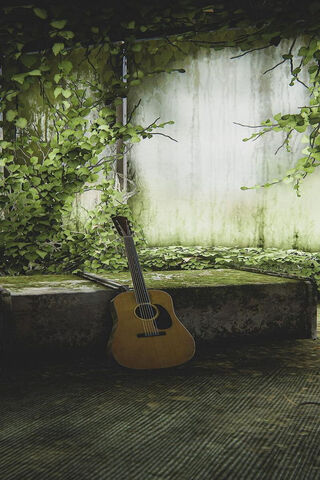 Nature's Melody 🎶🌿