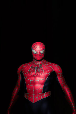 Spider-Man: The Web-Sli..
