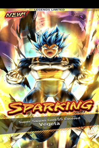 Super Saiyan God SS Evo..