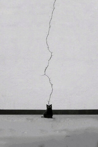 The Black Cat